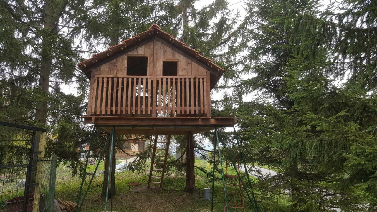King Of The Hill Apartment Zagorska Sela Bagian luar foto